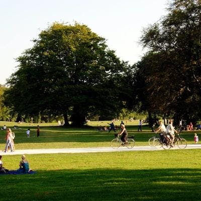 Mennesker går, sitter og sykler i en solfylt grønn park.