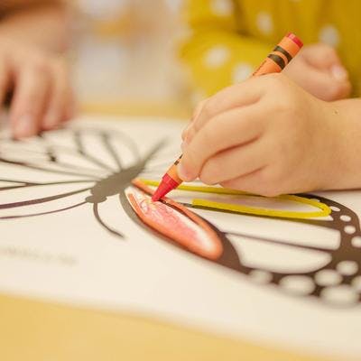 Nærbilde av en barnehånd som fargelegger en sommerfugl.